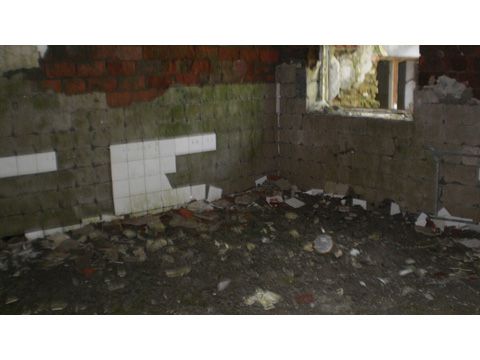 Foto 354